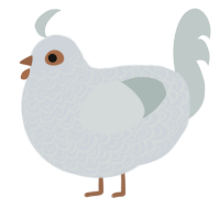 Angel Eyes, a mist and silver chicken with a double-lace pattern