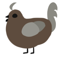 bert, a bark and ash chicken