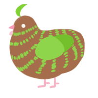 Kiwi, a brown and grass chicken with a bar pattern