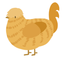 Puppy, a honey and orange chicken with a bar pattern