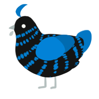 (unnamed), a black and sapphire chicken with a bar pattern