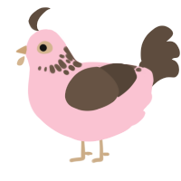 Neo, a rose and bark chicken with a neck-speckle pattern