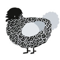 SD, a black and mist chicken with a double-lace pattern