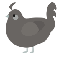 concrete, a grey chicken