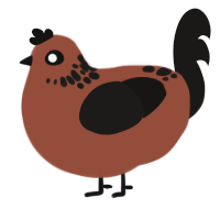 espresso bean, a russet and sable chicken with a neck-speckle pattern