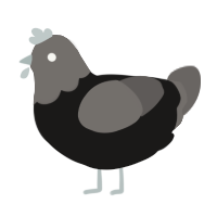 Moment of Clarity, a sable and grey chicken with a head pattern