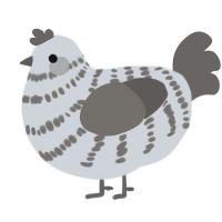 (unnamed), a mist and grey chicken with a bar pattern