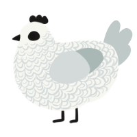 A white and silver chicken with a double-lace pattern