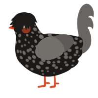 (unnamed), a sable and grey chicken with a speckle pattern