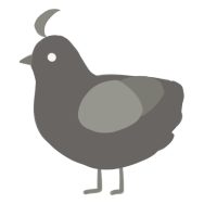 A grey and ash chicken