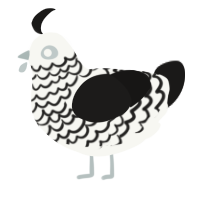 A white and sable chicken with a lace pattern