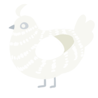 Quartz, a white chicken with a bar pattern