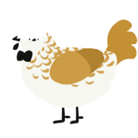 Salted Caramel, a white and gold chicken with a half-lace pattern