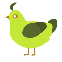 olive, a lime and olive chicken