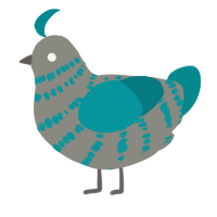 A ash and teal chicken with a bar pattern