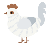 A white and mist chicken with a bar pattern