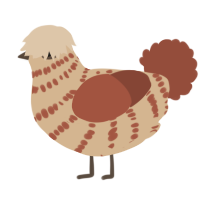 A beige and russet chicken with a bar pattern