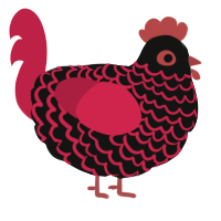 Luo Chickhe, a black and crimson chicken with a lace pattern