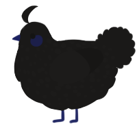 A sable chicken with a speckle pattern