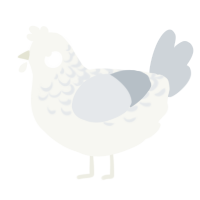A white and mist chicken with a half-lace pattern