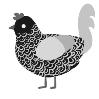 The Web, a sable and silver chicken with a double-lace pattern