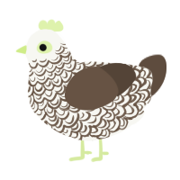 Ashen, a white and bark chicken with a double-lace pattern