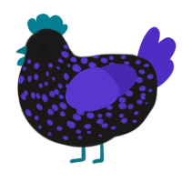 VOID, a sable and indigo chicken with a speckle pattern