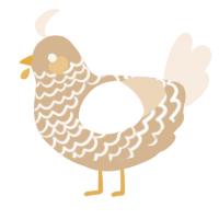 Buttercream, a beige and cream chicken with a lace pattern