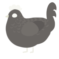 Partial Pure, a grey chicken with a half-lace pattern