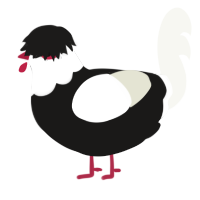 Alstaer Bawksong, a sable and white chicken with a head pattern
