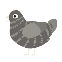 (unnamed), a grey and ash chicken with a bar pattern