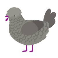 A ash and grey chicken with a lace pattern
