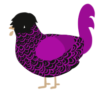 A black and plum chicken with a double-lace pattern