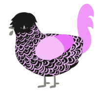 emo cotton candy, a sable and lavender chicken with a double-lace pattern