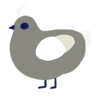 white tail, a ash and white chicken