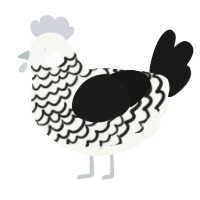 A white and sable chicken with a lace pattern