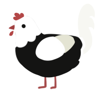 (unnamed), a black and white chicken with a head pattern