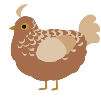 SaltedCarmelCocoa, a brown and beige chicken with a half-lace pattern