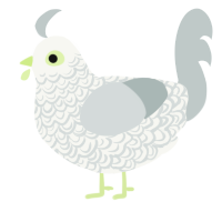 A white and silver chicken with a double-lace pattern