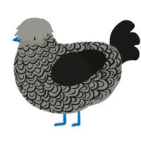 A ash and sable chicken with a double-lace pattern