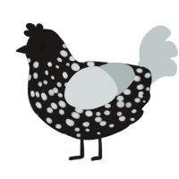 A sable and silver chicken with a speckle pattern