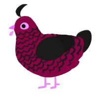 A maroon and sable chicken with a lace pattern