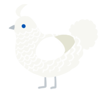 A white chicken with a lace pattern
