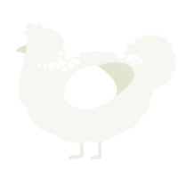 A white chicken with a neck-speckle pattern