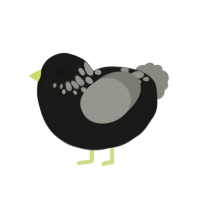 Black Velvet, a sable and ash chicken with a neck-speckle pattern