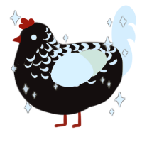 Rare Angel, a black and white chicken with a half-lace pattern