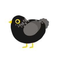 A sable and grey chicken with a neck-speckle pattern