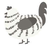 Oreo Mcflurry, a white and grey chicken with a bar pattern