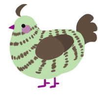 A gluppy and bark chicken with a bar pattern