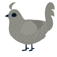 gwey, a ash chicken with a lace pattern